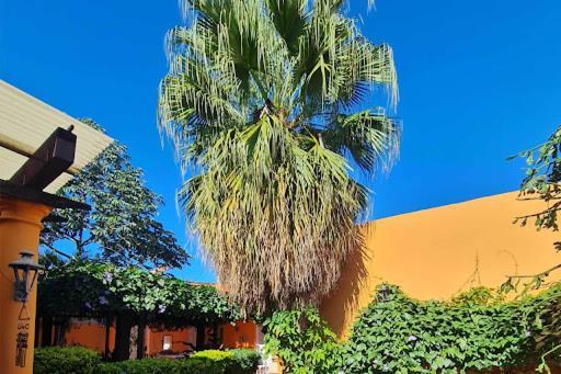Hostal Paradiso Asunción Esterno foto